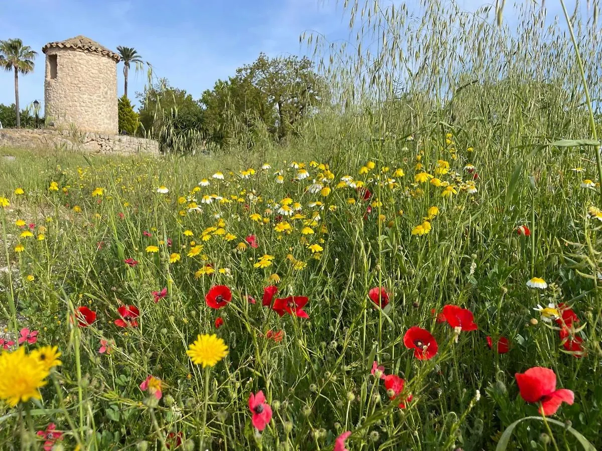 Finca Son Manera Montuiri  Montuiri (Mallorca)